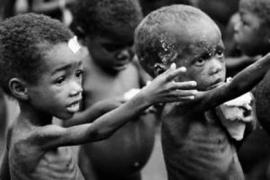 人造肉·粮食危机·饥饿问题 - 第5张图片